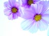 Foto: photocase.com